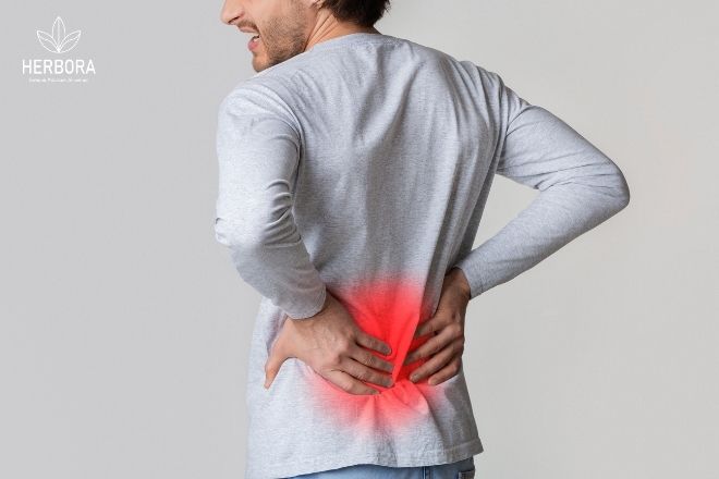 triệu chứng thận âm hư