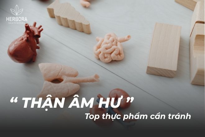Dấu hiệu và nguyên nhân thận âm hư
