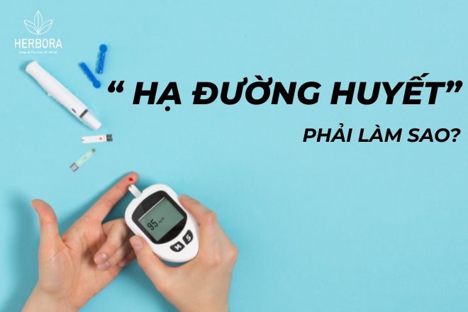 hạ đường huyết phải làm sao