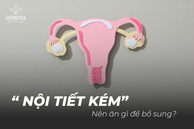 Nội tiết tố kém nên ăn gì