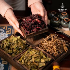 Nguyên liệu Thanh Can Trà