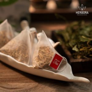 Túi lọc Thanh Can