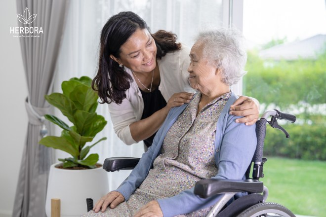 Thảo Dược Trị Mất Ngủ Cho Người Già 6